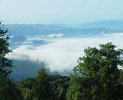 屏山后天天气